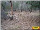 Lot 43 Pine Road, Millmerran Woods QLD 4357