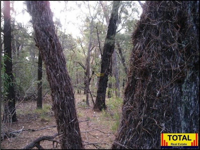 Lot 43 Pine Road, Millmerran Woods QLD 4357