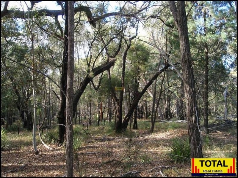 Lot 43 Pine Road, Millmerran Woods QLD 4357