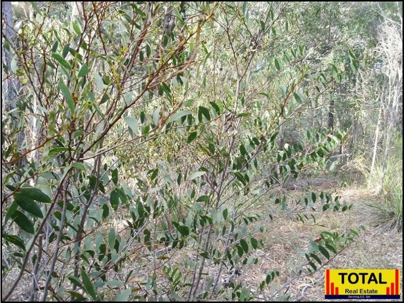 Lot 43 Pine Road, Millmerran Woods QLD 4357