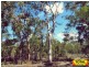 lot 43 Pine Road, Millmerran Woods QLD 4357