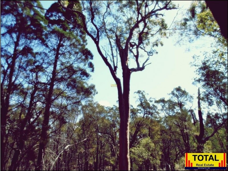 lot 43 Pine Road, Millmerran Woods QLD 4357