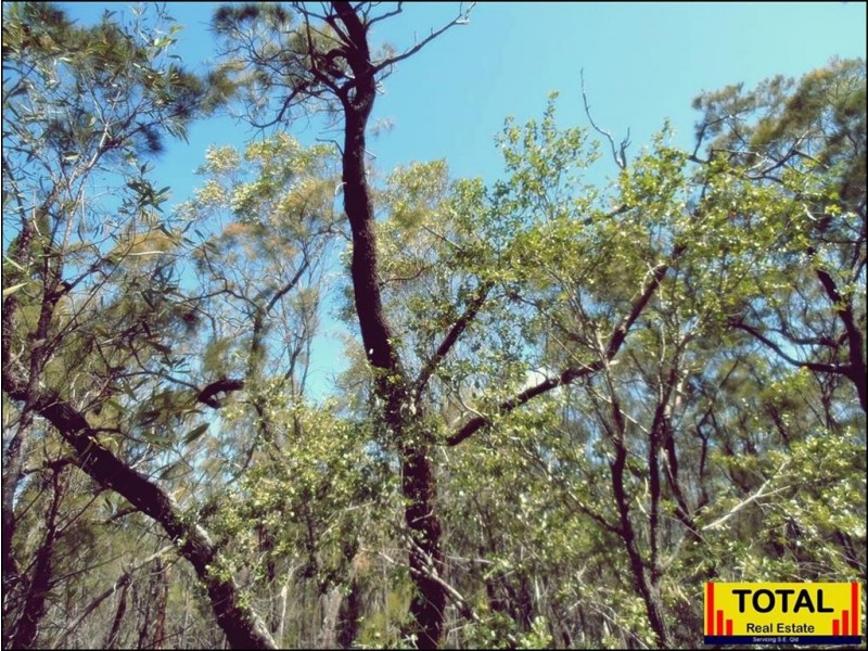lot 43 Pine Road, Millmerran Woods QLD 4357