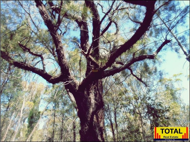 lot 43 Pine Road, Millmerran Woods QLD 4357