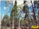 lot 43 Pine Road, Millmerran Woods QLD 4357