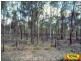 lot 43 Pine Road, Millmerran Woods QLD 4357