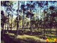 Lot 4 Gootchie Rd, Gootchie QLD 4650