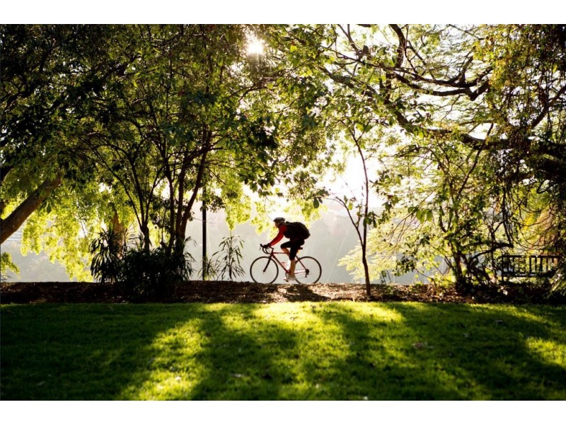 1111/477 Boundary Street, Spring Hill QLD 4000