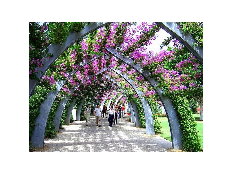 26 Merton Road, Woolloongabba QLD 4102