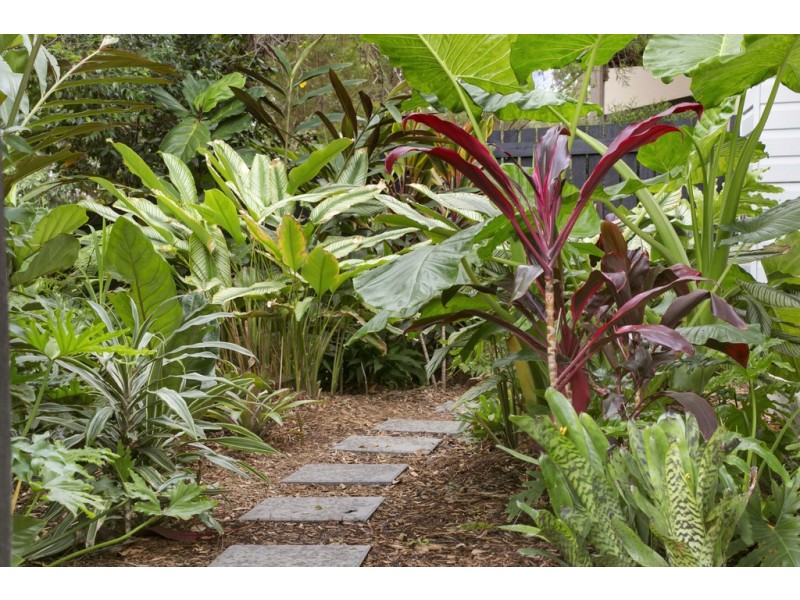 41 Yeronga Street, Yeronga QLD 4104