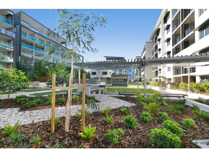 7211/55 Forbes Street, West End QLD 4101