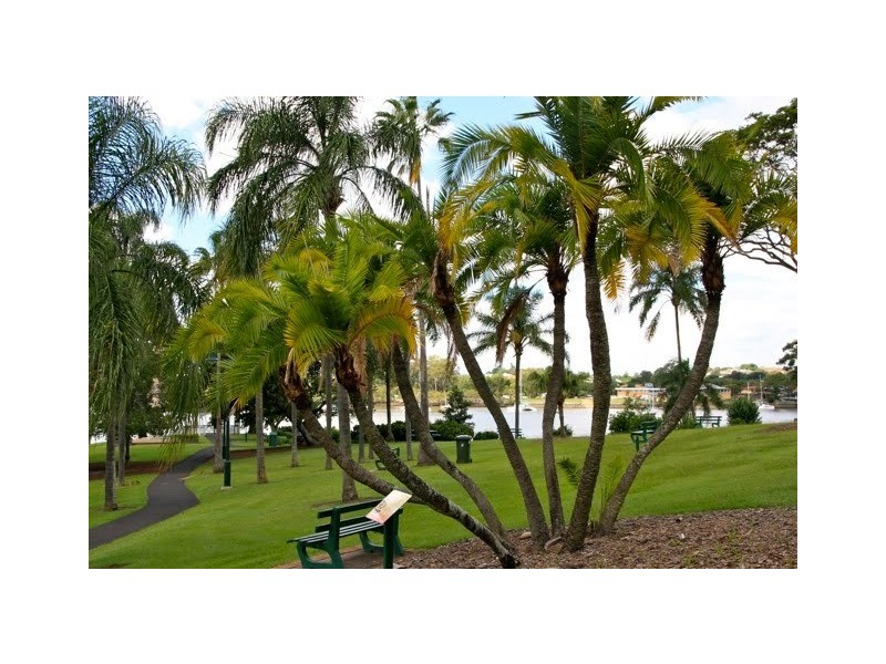 109/28 Masters Street, Newstead QLD 4006