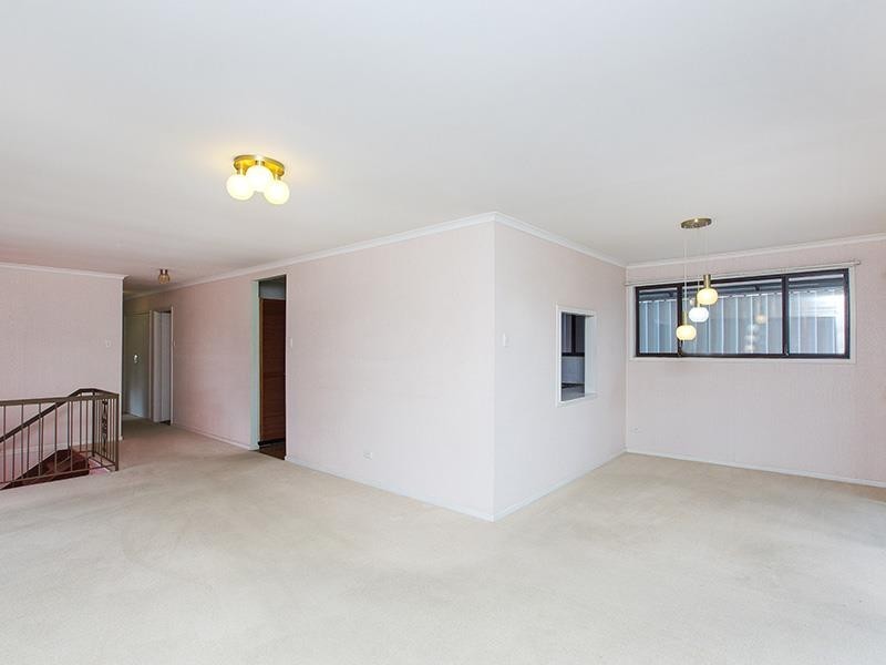 3 Cam Lane,, Annerley QLD 4103
