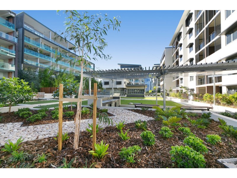 8101/55 Forbes Street, West End QLD 4101