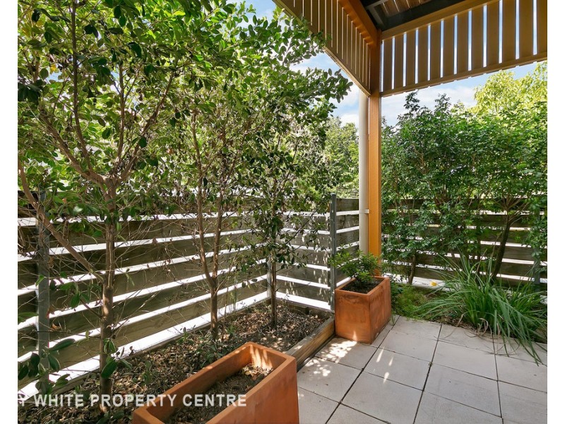 8/70 Hawthorne Street, Woolloongabba QLD 4102