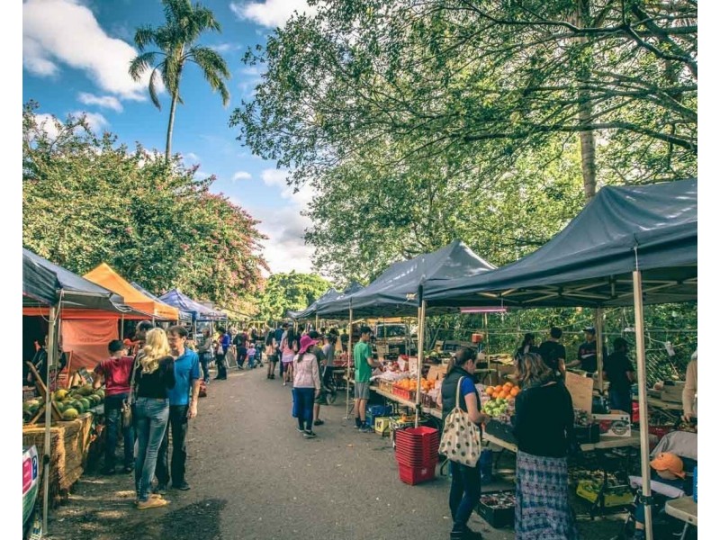 38 Granville Street, West End QLD 4101