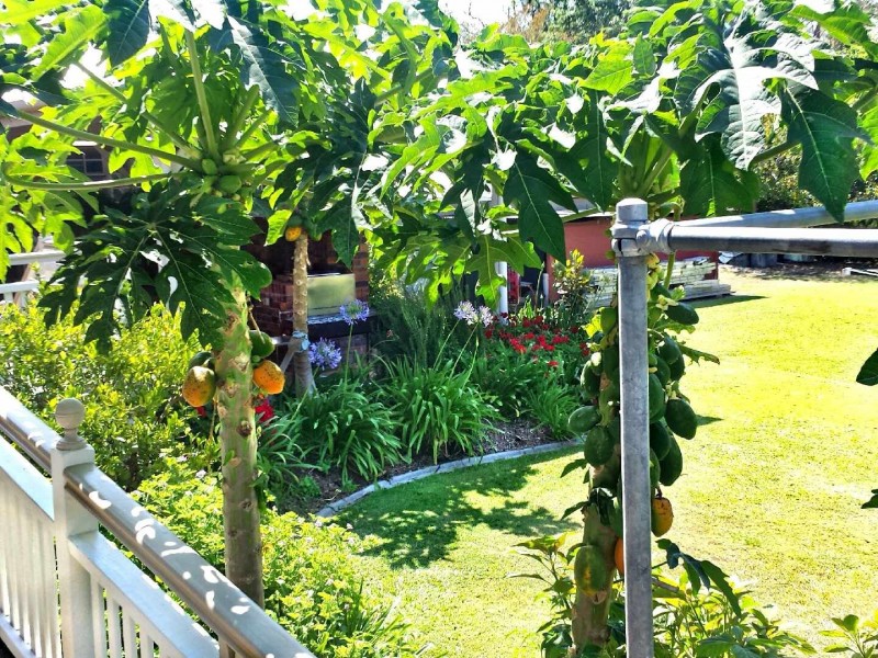 1576 Old Cleveland Road, Belmont QLD 4153