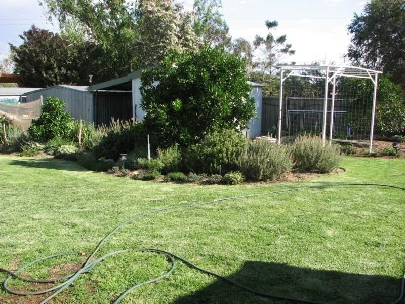 10 Wyndham Ave, Forbes NSW 2871