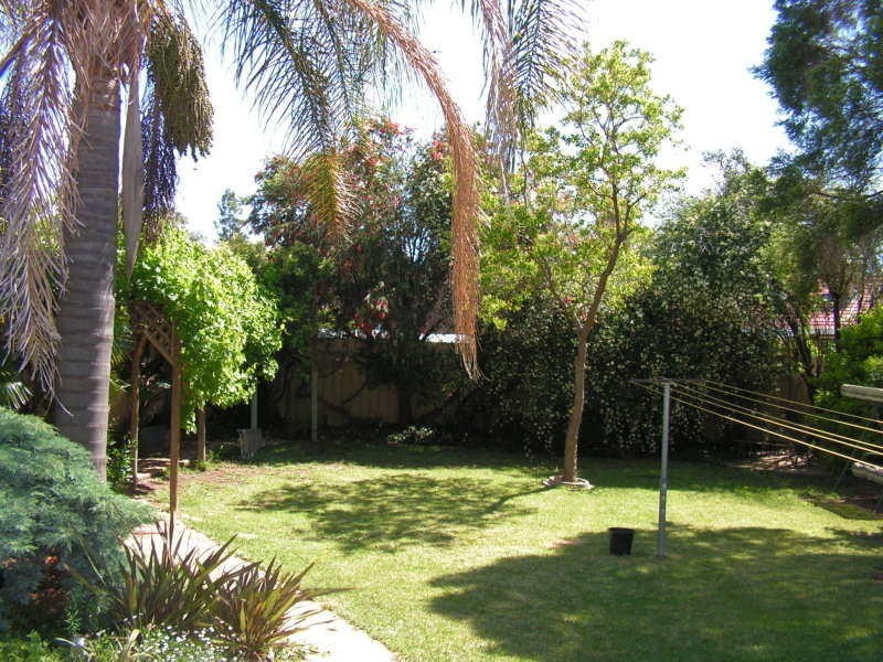 7 Wyndham Ave, Forbes NSW 2871