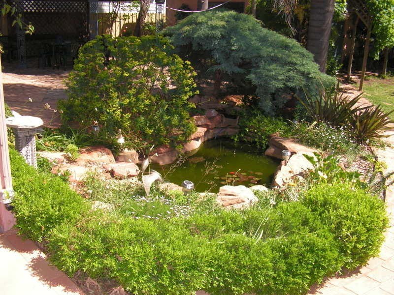 7 Wyndham Ave, Forbes NSW 2871