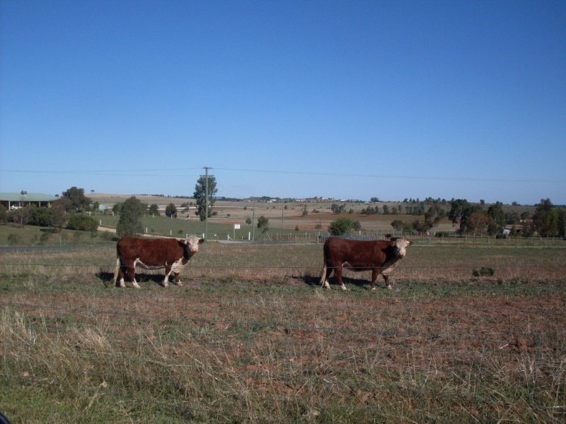 Lot 11 Heraghty Rd, Parkes NSW 2870