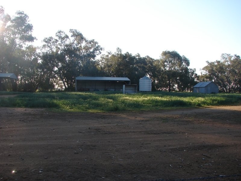 Innisfail Newell Highway, Parkes NSW 2870