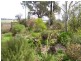 258 Cons Lane, Parkes NSW 2870