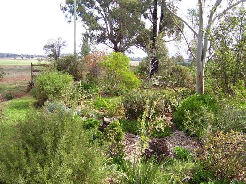 258 Cons Lane, Parkes NSW 2870