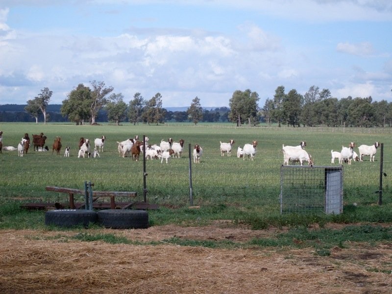 549 Welcome Road, Parkes NSW 2870