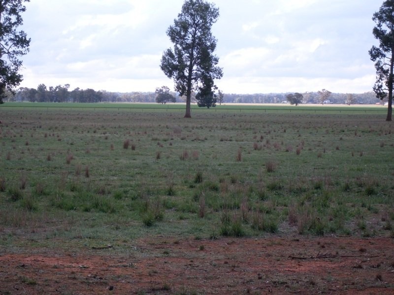 549 Welcome Road, Parkes NSW 2870