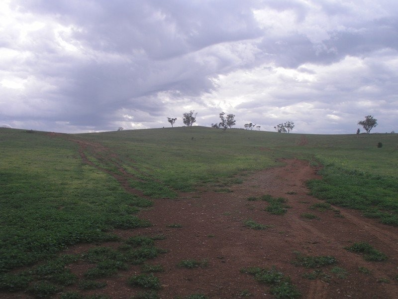Lot 20 Lindsay Thomas Drive, Parkes NSW 2870