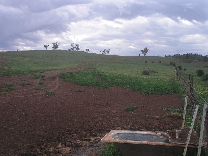 Lot 20 Lindsay Thomas Drive, Parkes NSW 2870