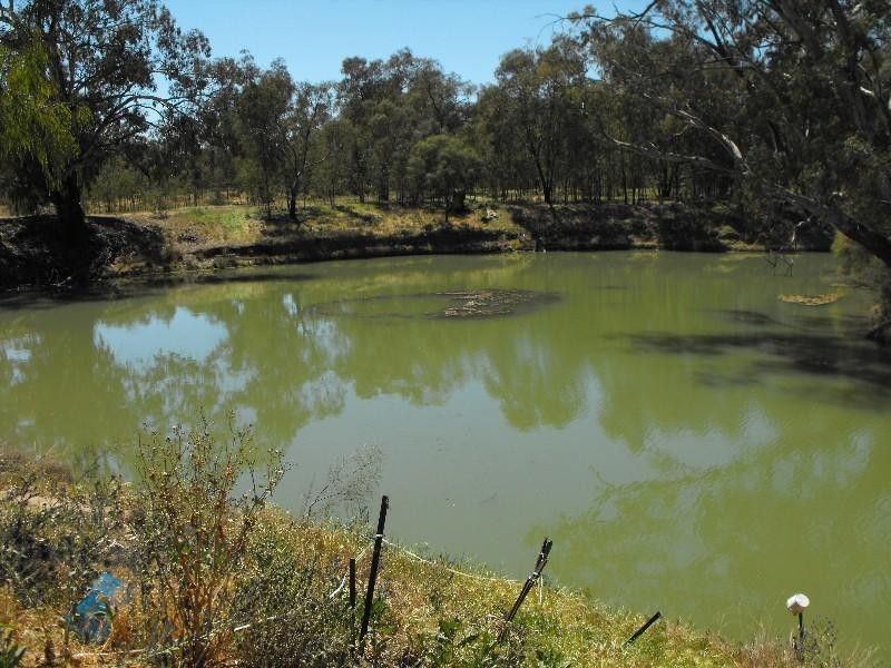 . Murrin Street, Euabalong NSW 2877