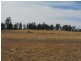 159 Deep Lead Road, Parkes NSW 2870