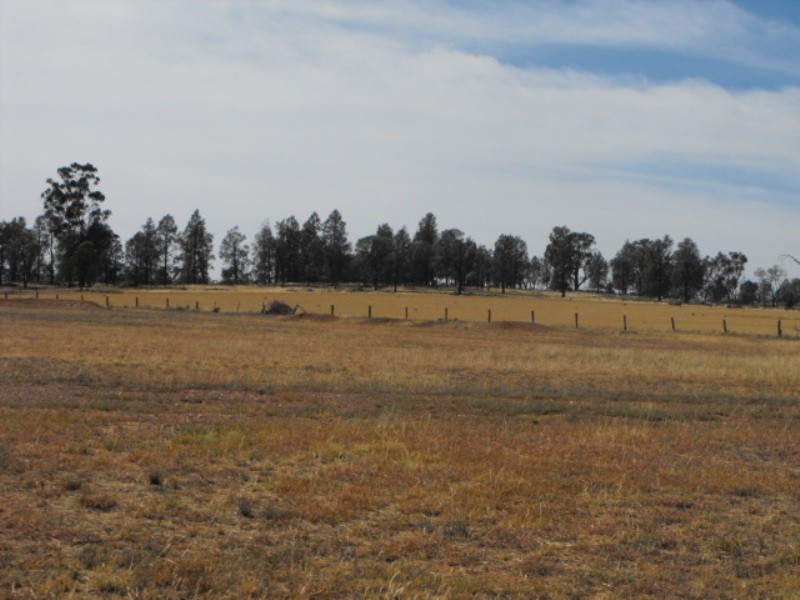 159 Deep Lead Road, Parkes NSW 2870