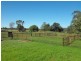 3544 Condobolin Road, Bogan Gate NSW 2876