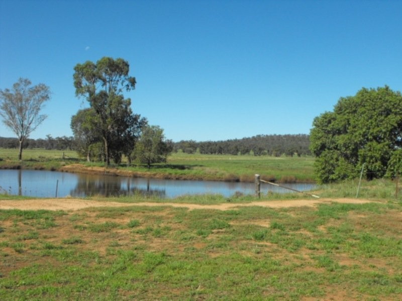 3544 Condobolin Road, Bogan Gate NSW 2876