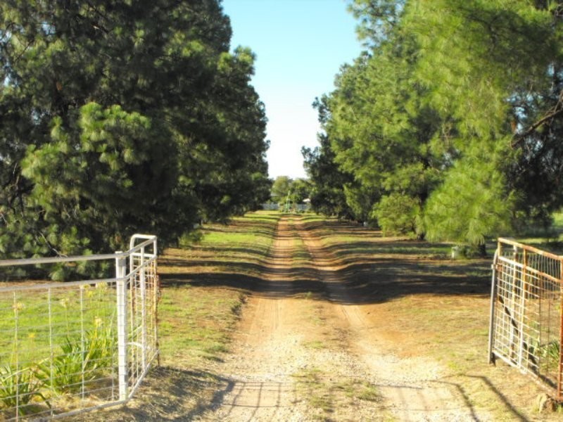 3544 Condobolin Road, Bogan Gate NSW 2876