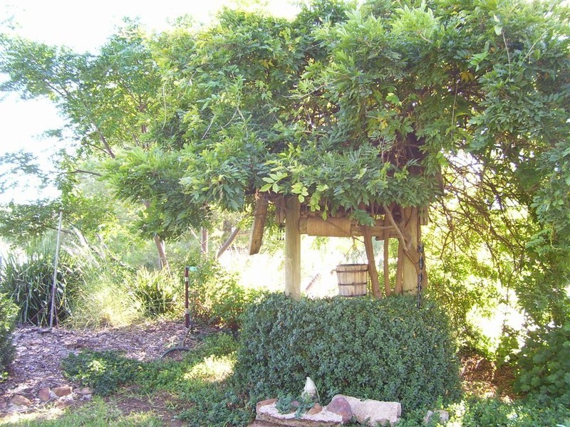 3544 Condobolin Road, Bogan Gate NSW 2876