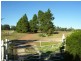 3544 Condobolin Road, Bogan Gate NSW 2876