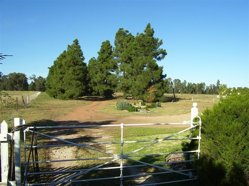 3544 Condobolin Road, Bogan Gate NSW 2876