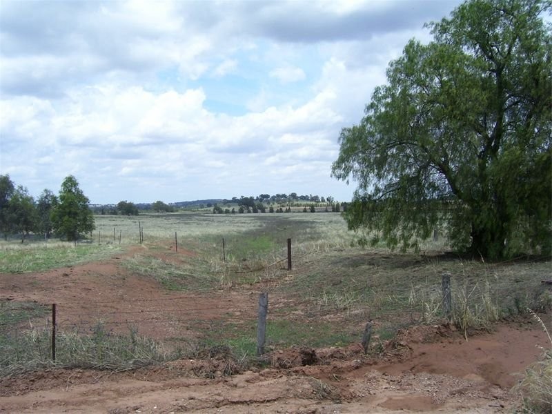 Lot 2 Cookamidgera Road, Parkes NSW 2870