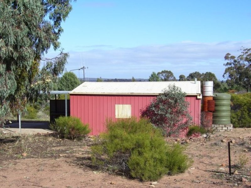 242 Cooka Hills Road, Cookamidgera NSW 2870