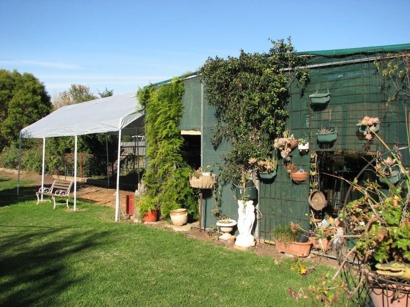 88 Flint Street, Forbes NSW 2871