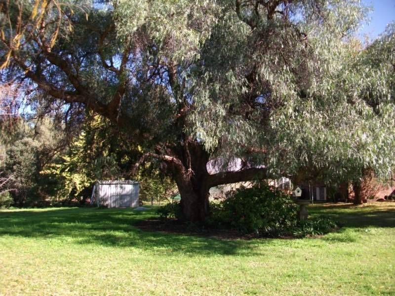 2 Graf Street, Condobolin NSW 2877