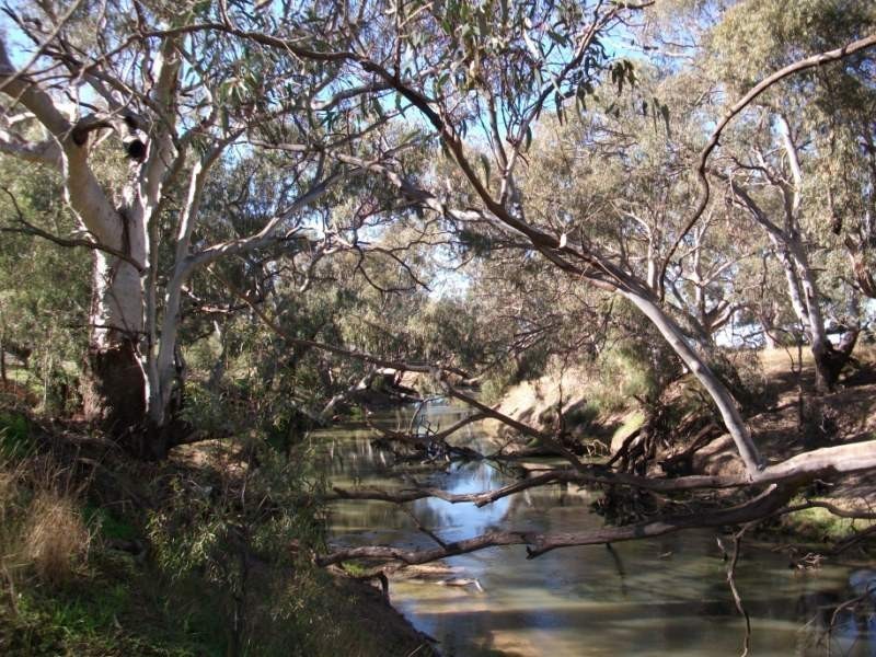 2 Graf Street, Condobolin NSW 2877