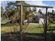 13 Cooper Street, Eugowra NSW 2806