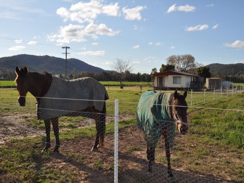 “Rebel Lodge” Pye Street, Eugowra NSW 2806
