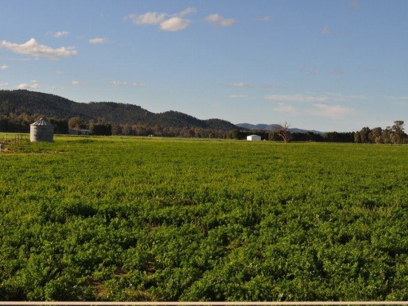 “Rebel Lodge” Pye Street, Eugowra NSW 2806