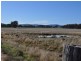 15 Noble Street, Eugowra NSW 2806